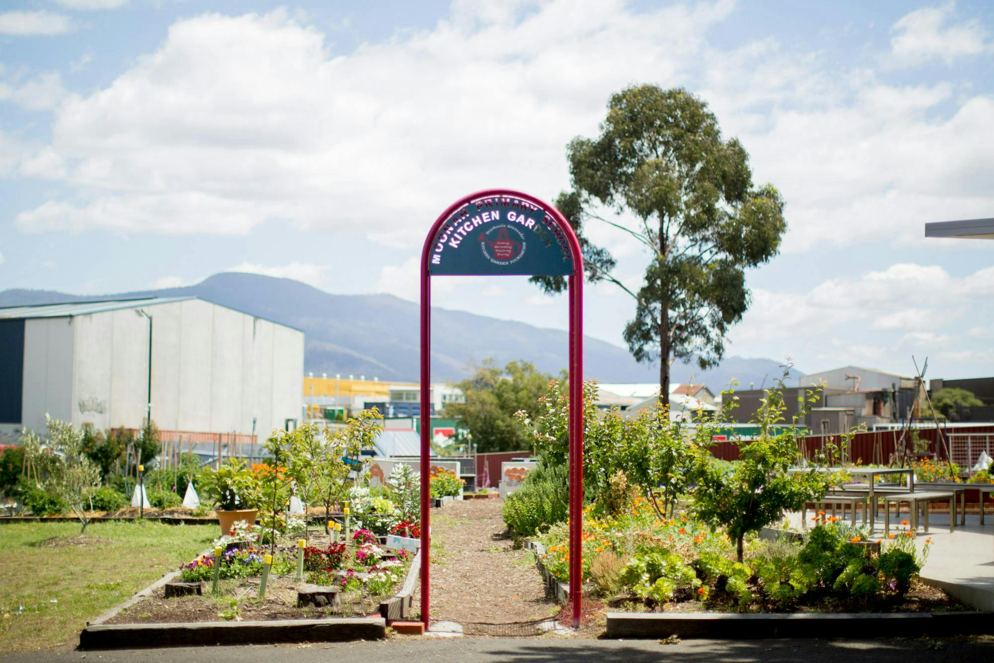 Moonah Primary School 2014