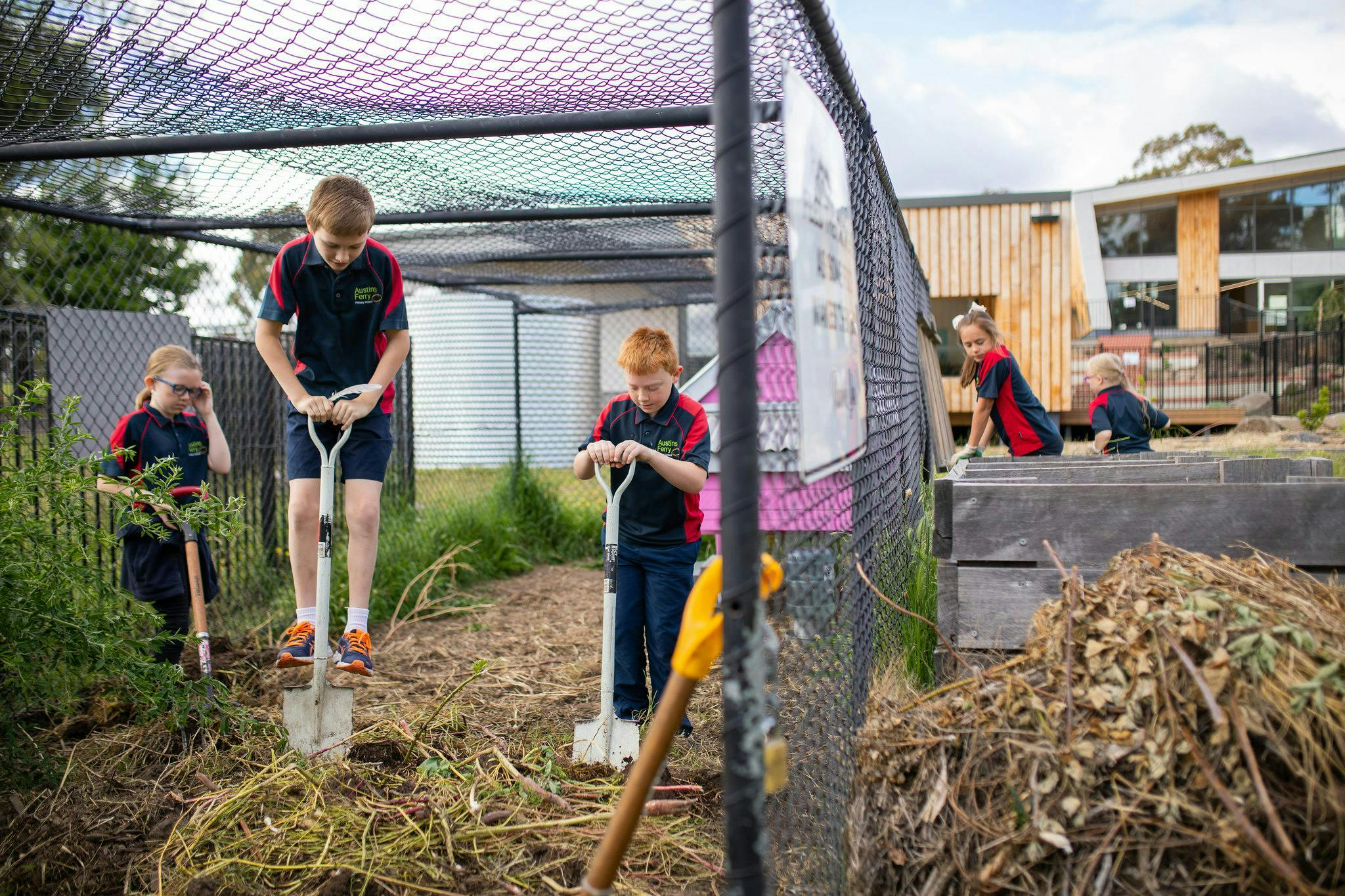 Students digging at Austins Ferry Primary School 2015