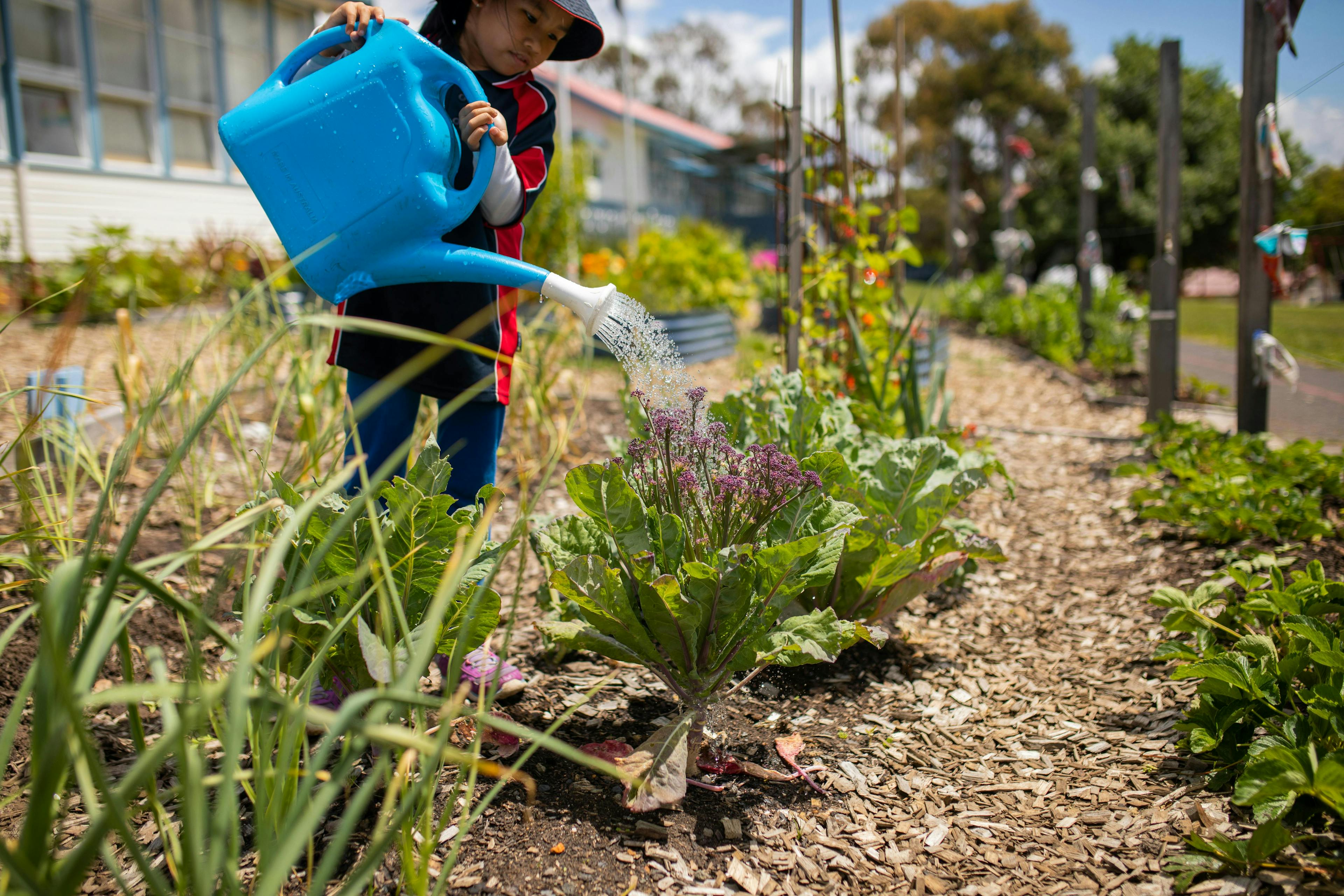 Student in the garden at Warrane Primary School 2018