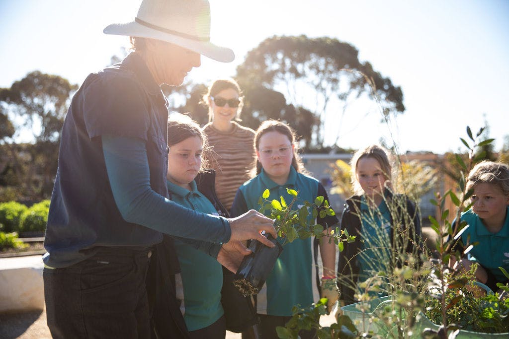 Students gardening in their school garden