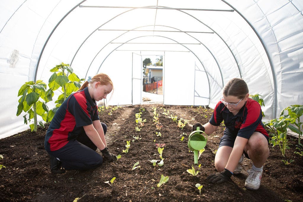 Students gardening in their school garden