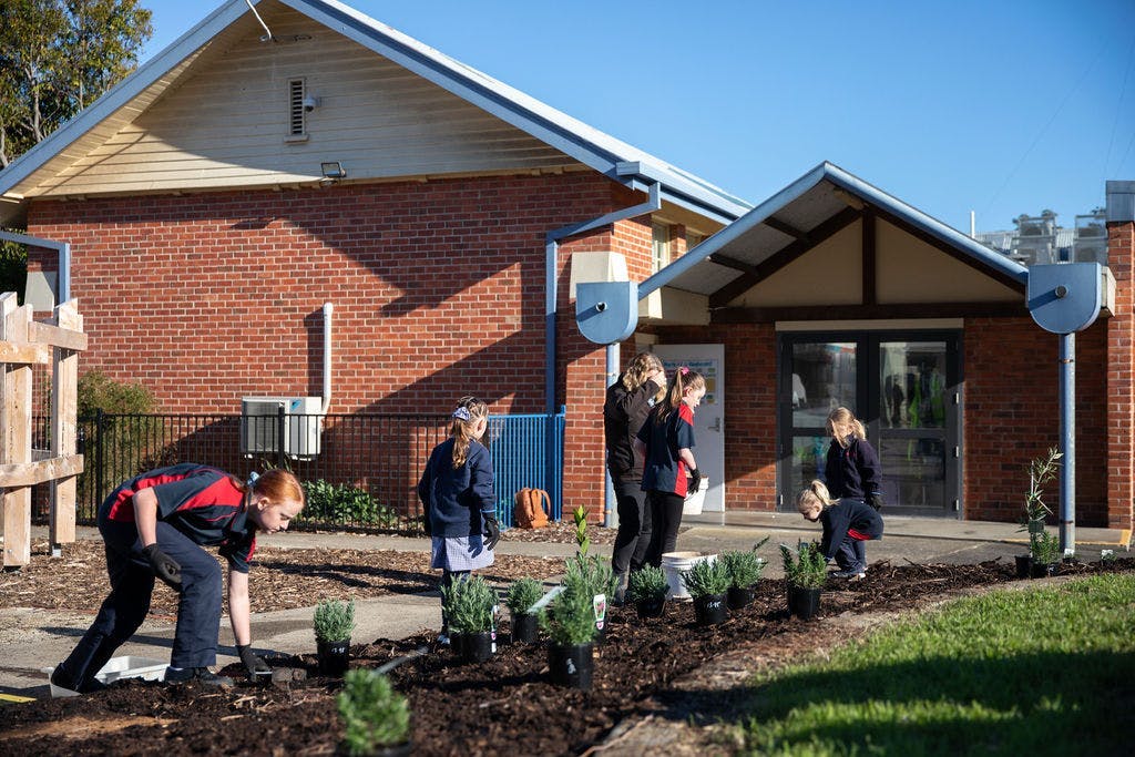 Students gardening in their school garden