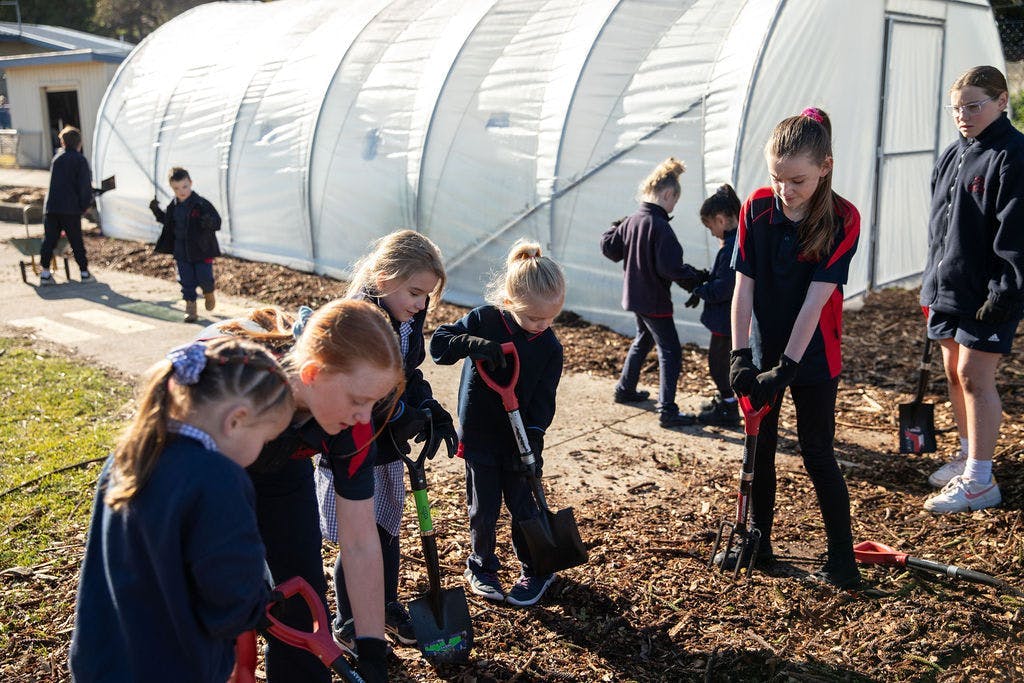 Students gardening in their school garden