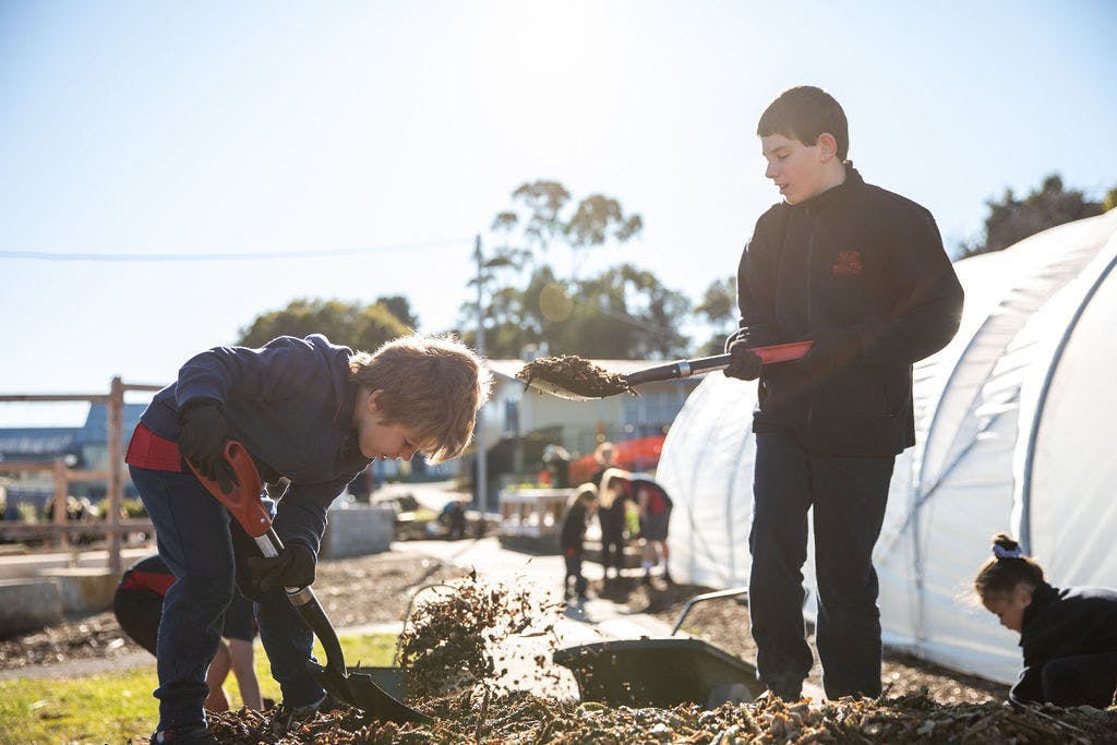 Students gardening in their school garden