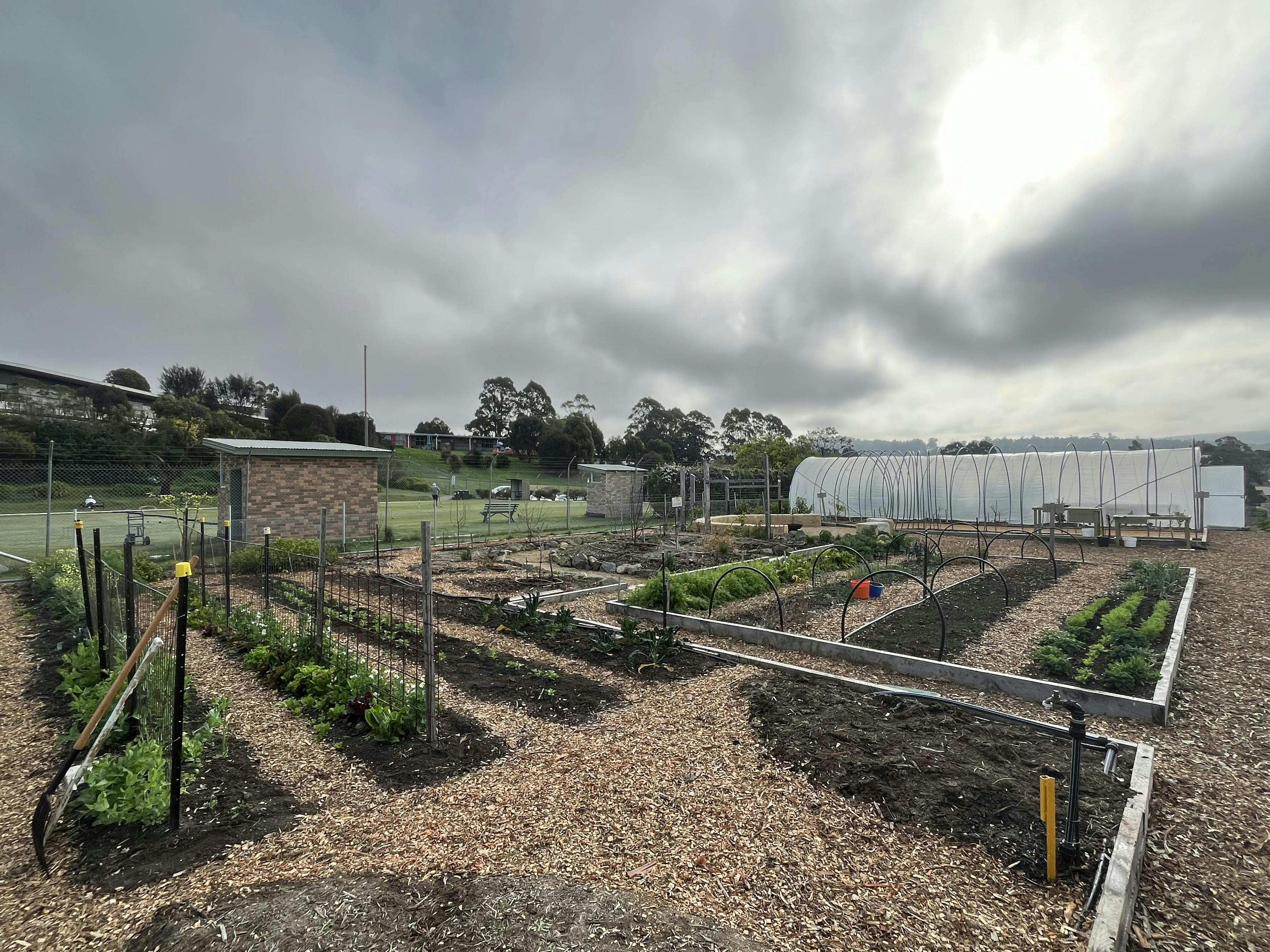 Kingston Highschool's garden