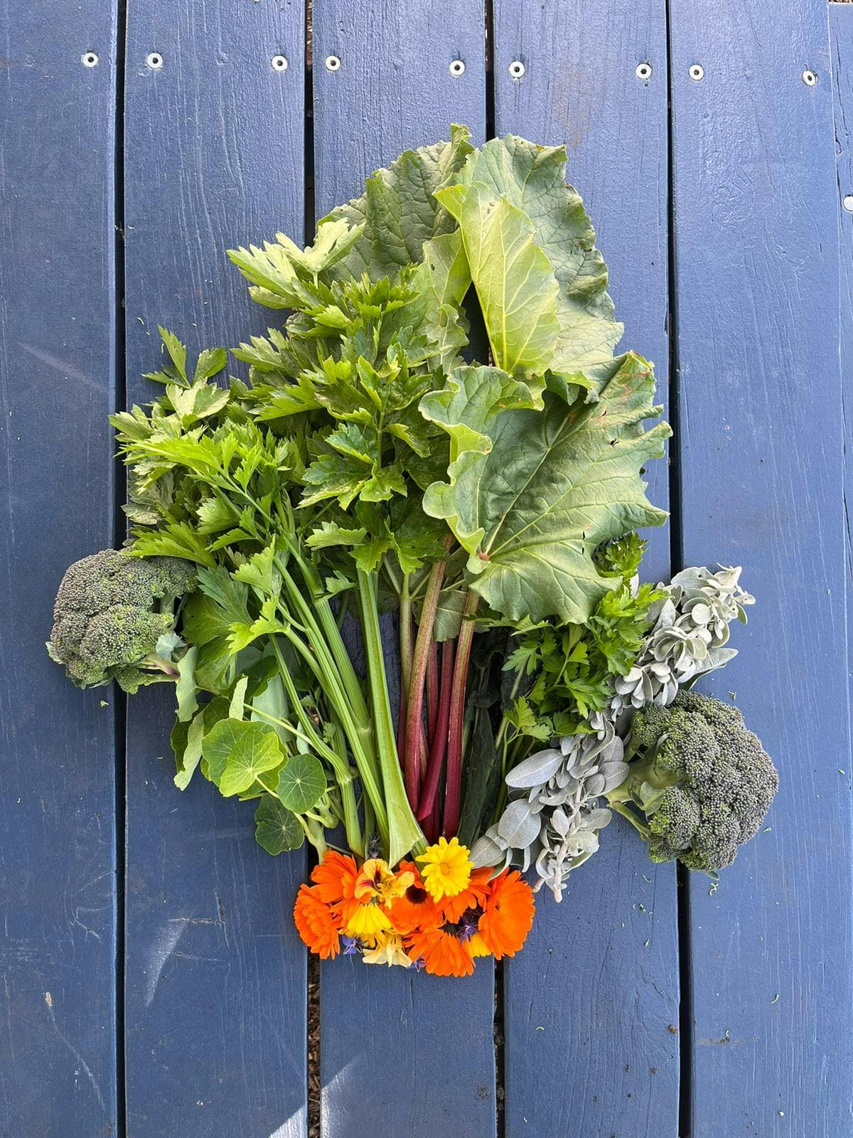 Beautiful Harvest from Warrane Primary School