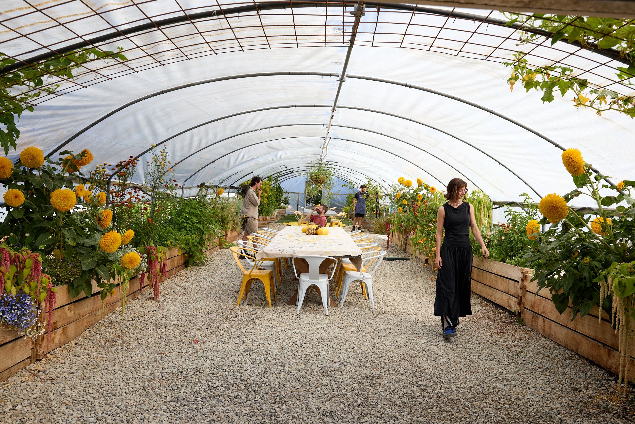 polytunnel full of produce